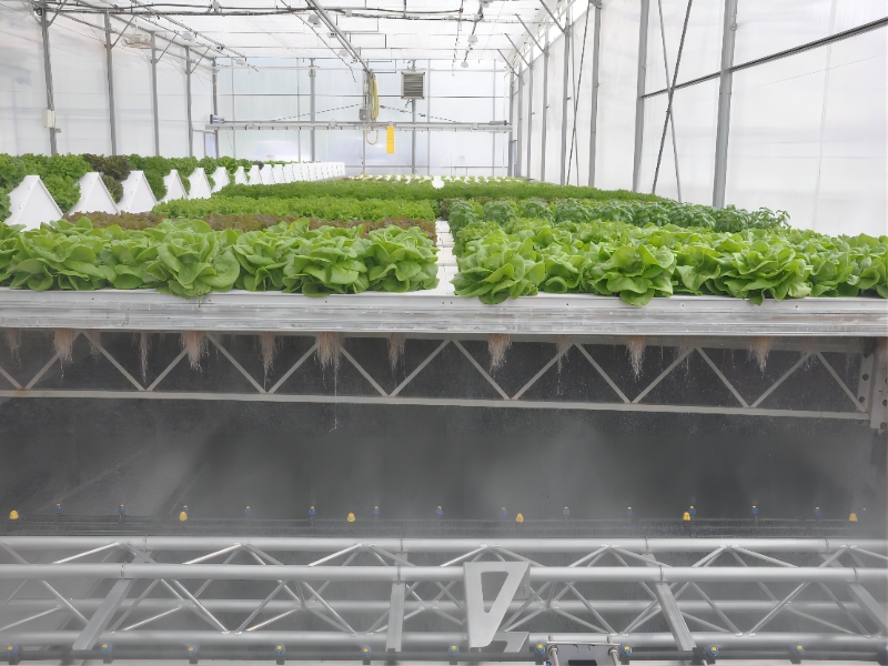 Aeroponic Greenhouse