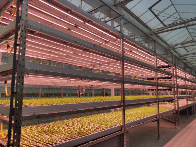 Vertical Farming