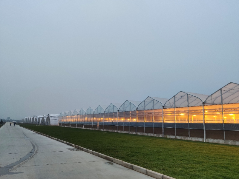 Flower Greenhouse