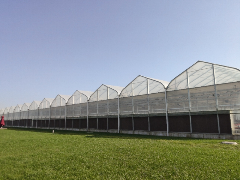 Pot Plant Greenhouse