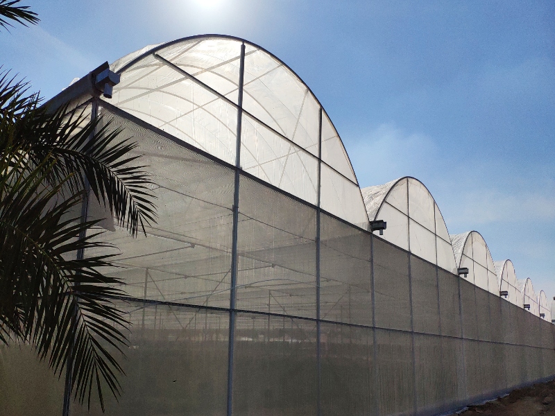 Net House