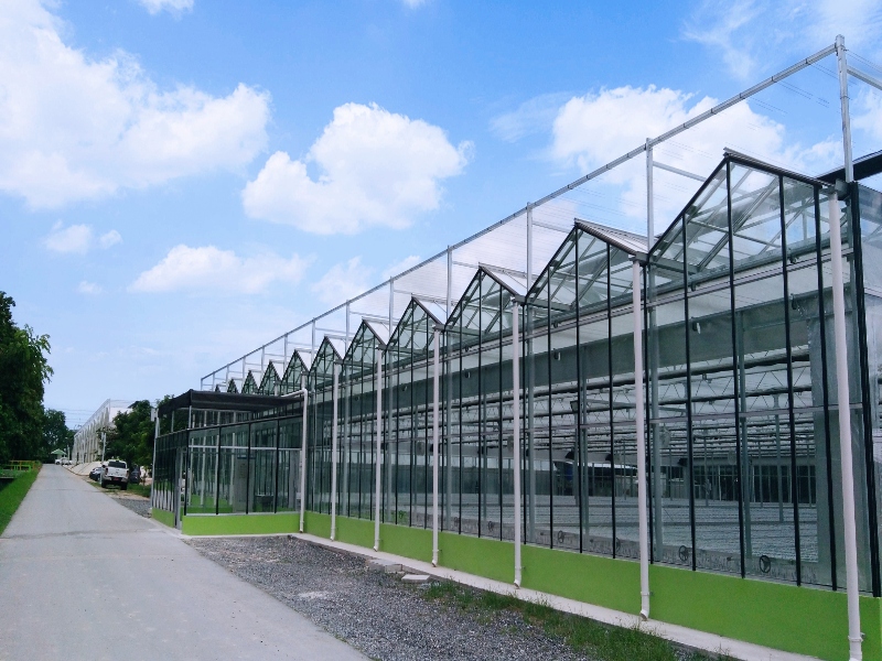 Flower Glasshouse