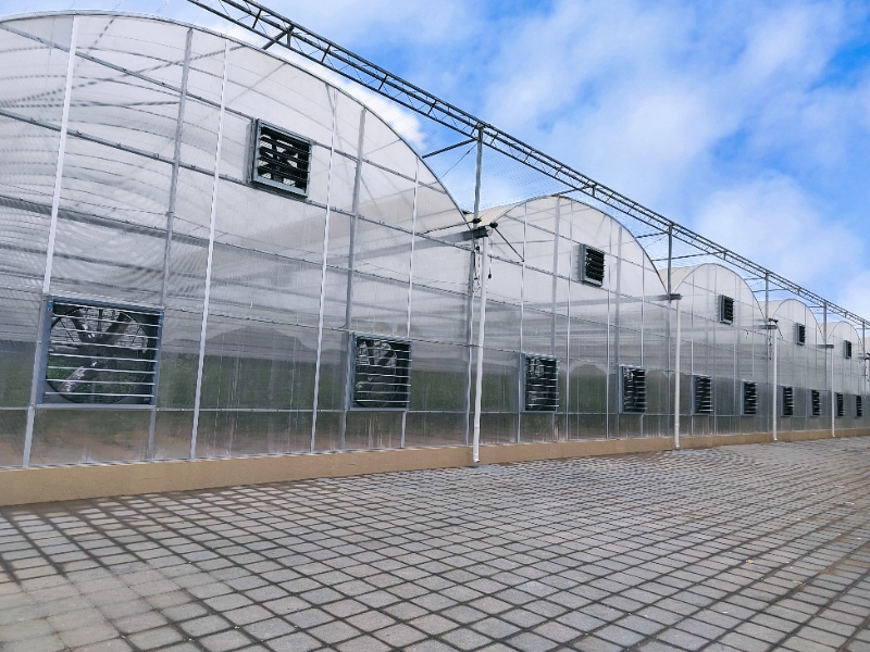 Lettuce Greenhouse