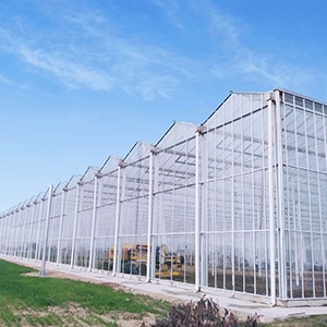 Glass Greenhouse