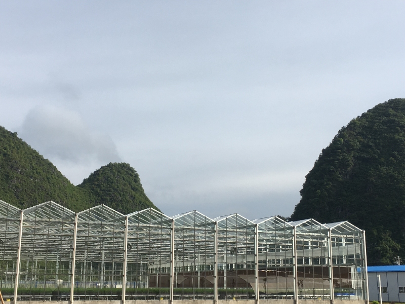 Nursery Glasshouse