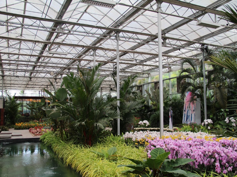 Garden Glasshouse