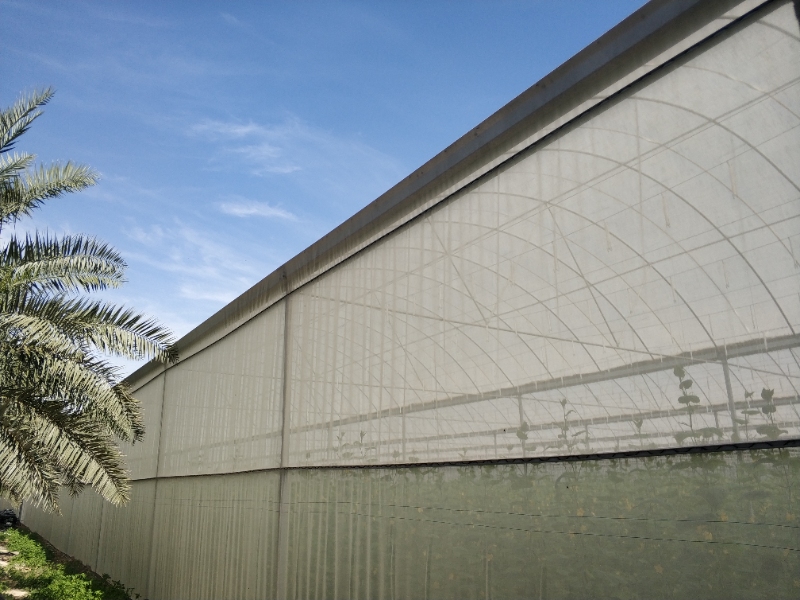 Net House