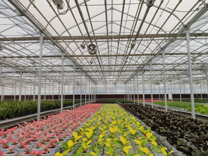 Pot Plant Greenhouse