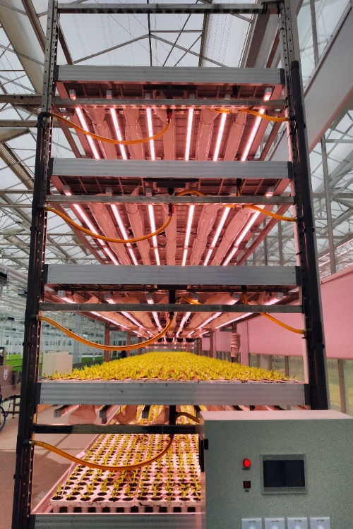 Vertical Farming