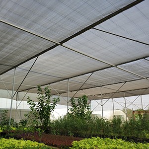 Shade & Net Greenhouse