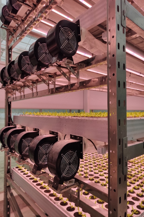 Vertical Farming