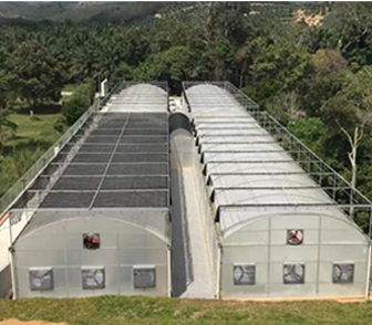 Low-land Greenhouse in Malaysia