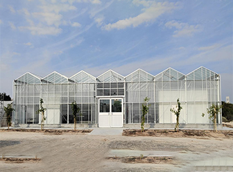 Smart Glasshouse at Qatar University