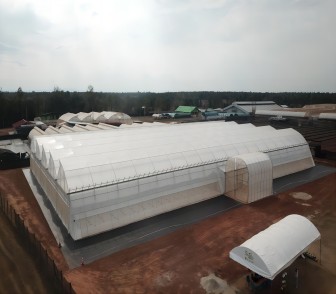 New Tropical Greenhouse sets up in Thailand